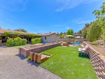 Back-Yard-3